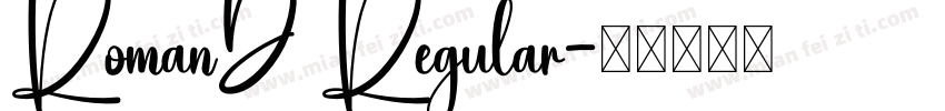 RomanD Regular字体转换
